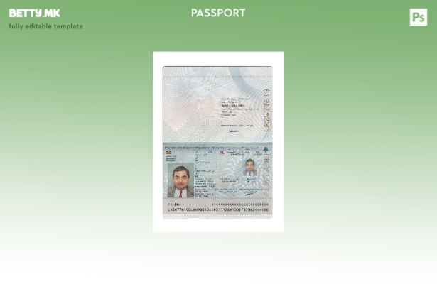 Модерен стил либански пасош сегашен шаблон 1